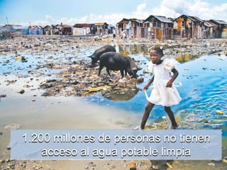1.200 millones de personas no tienen acceso al agua potable limpia,[object Object]