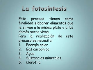 La fotosíntesisEste proceso tienen como finalidad elaborar alimentos que le sirven a la misma plata y a los demás seres vivos.Para la realización de este proceso se necesita:Energía solarGas carbónicoAguaSustancias mineralesClorofila