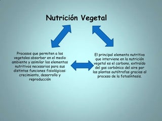 Nutrición VegetalProcesos que permiten a los vegetales absorber en el medio ambiente y asimilar los elementos nutritivos necesarios para sus distintas funciones fisiológicas: crecimiento, desarrollo y reproducciónEl principal elemento nutritivo que interviene en la nutrición vegetal es el carbono, extraído del gas carbónico del aire por las plantas autótrofas gracias al proceso de la fotosíntesis. 