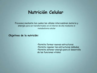 Nutrición CelularProcesos mediante los cuales las células intercambian materia y energía para ser transformados en el interior de ella mediante el metabolismo celularObjetivos de la nutrición:Permite formar nuevas estructuras