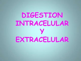 RESPIRACION DE ANFIBIOSLos anfibios tienen pulmones que les permiten respirar el aire. Estos son pequeños poco desarrollados y hacen circular el aire de una manera peculiar.RESPIRACION  EN AVESEl intercambio gaseoso se realiza mediante 2 pequeños pero eficientes pulmones. El aire inhalado es llevado por la tráquea a los bronquios, y de ahí a los pulmones, donde se encuentran los parabronquios, con capilares para la hematosis, los cuales realizan el intercambio gaseoso en la inspiración y exhalación. 