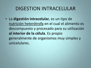 RESPIRACION  EN MAMIFEROS Todos los mamíferos presentan respiración pulmonar, hasta los acuáticos como las ballenas.