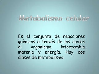 DIGESTION EXTRACELULAREs realizada por todos los vertebrados y por algunos invertebrados. Se produce en el exterior de las células, dentro del tubo digestivo. Este proceso supone la transformación del alimento en moléculas asimilables por el organismo; transformación que se consigue mediante una digestión mecánica y una digestión enzimática. 