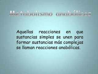 Metabolismo celular Fotosíntesis y respiración 