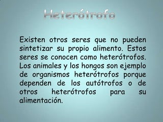 MetabolismocatabólicosReacciones catabólicas que son aquellas en las cuales sustancias complejas se degradan para convertirse en sustancias más simples.