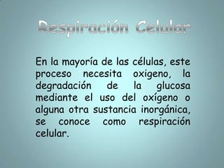 AutótrofosLos seres vivos que sintetizan su propio alimento se conocen como autótrofos. La mayoría de los autótrofos usan la energía del sol para sintetizar su alimento. 