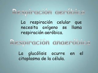 HeterótrofoExisten otros seres que no pueden sintetizar su propio alimento. Estos seres se conocen como heterótrofos. Los animales y los hongos son ejemplo de organismos heterótrofos porque dependen de los autótrofos o de otros heterótrofos para su alimentación.