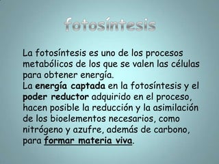 Respiración aeróbicaLa respiración celular que necesita oxígeno se llama respiración aeróbica.Respiración anaeróbicaLa glucólisis ocurre en el citoplasma de la célula.