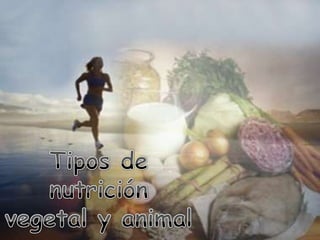Tipos de nutrición vegetal y animal