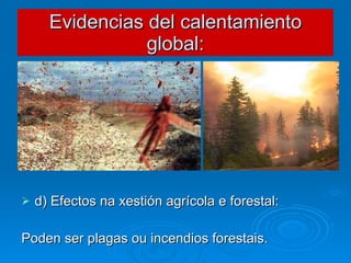 Evidencias del calentamiento global: d) Efectos na xestión agrícola e forestal: Poden ser plagas ou incendios forestais. 