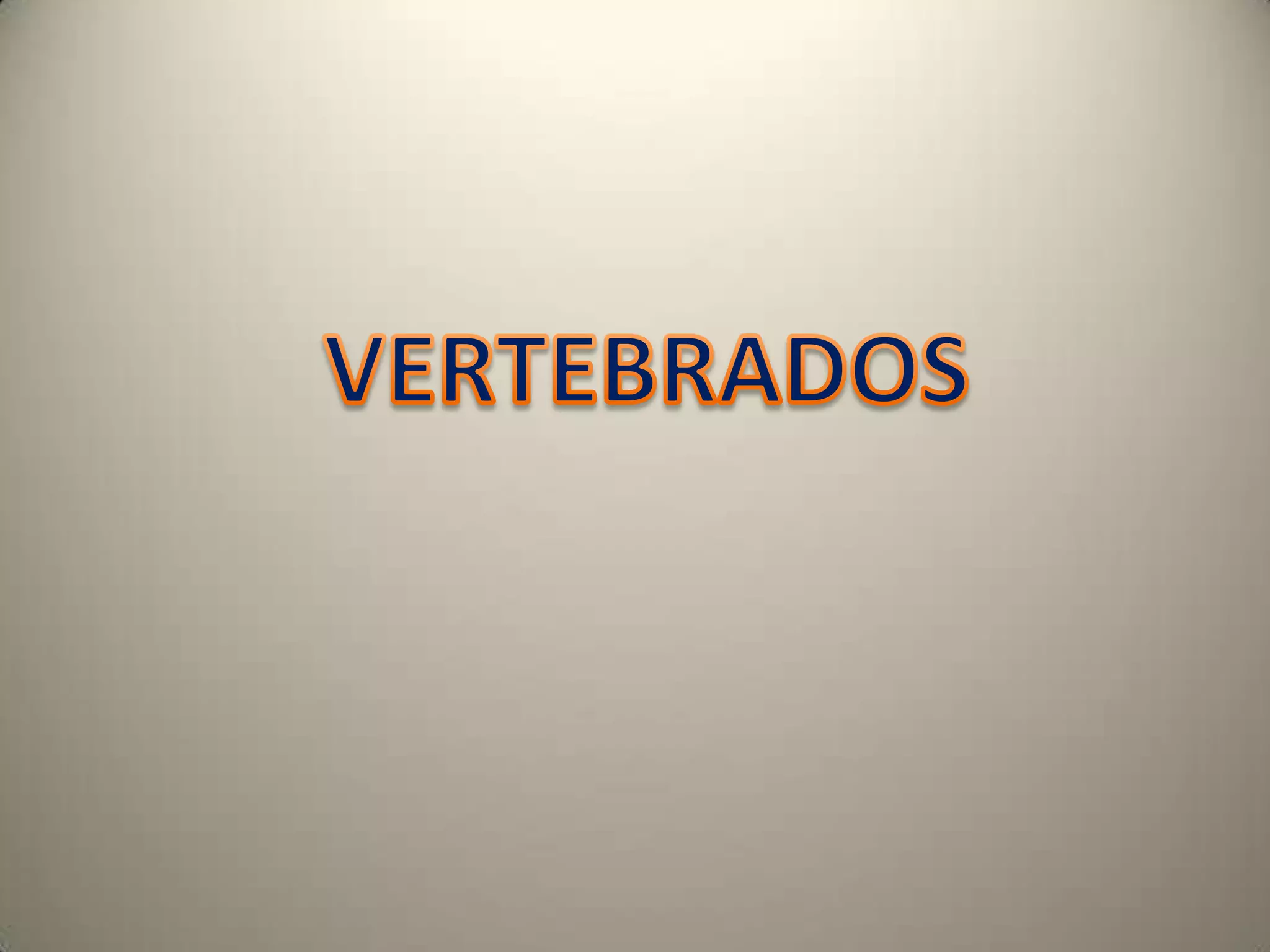 VERTEBRADOS