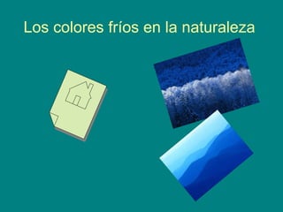 Los colores fríos en la naturaleza