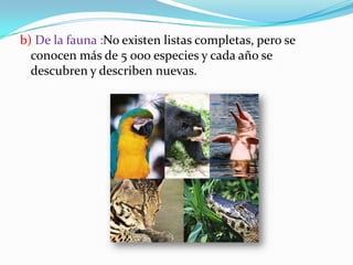  Diversidad de ecosistemas

 El Perú es reconocido como uno de los países con la
 mayor diversidad ecológica de la Tierra...