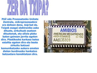 PUZ   edo   Prozesatzeko Unitate Zentrala , mikroprozesadore  ere deitzen dena,  txip  bat da. Txipek osagai elektroniko asko dituzte, zirkuituak osatzen dituztenak, eta silizio plaka baten gainean jarrita egoten dira. Plastikozko karkasa batez estalita egoten dira eta beste zirkuitu batzuei komunikatzeko aukera ematen dieten burdinazko hankatxo batzuetara konektatzen dira. ZER DA TXIPA? 