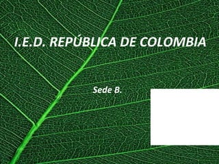 I.E.D. REPÚBLICA DE COLOMBIA Sede B. 