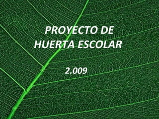 PROYECTO DE  HUERTA ESCOLAR 2.010 
