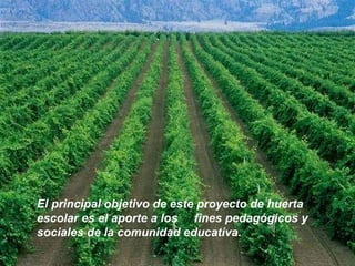 El principal objetivo de este proyecto de huerta escolar es el aporte a los  fines pedagógicos y sociales de la comunidad educativa. 