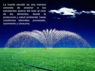 La huerta escolar es una manera concreta de ense ñ ar a los estudiantes acerca del todo el ciclo de los alimentos, desde la producci ó n y salud ambiental, hasta cuestiones laborales, procesado, cocimiento y consumo. 