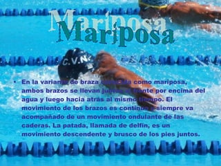 En la variante de braza conocida como mariposa, ambos brazos se llevan juntos al frente por encima del agua y luego hacia atrás al mismo tiempo. El movimiento de los brazos es continuo y siempre va acompañado de un movimiento ondulante de las caderas. La patada, llamada de delfín, es un movimiento descendente y brusco de los pies juntos. Mariposa 