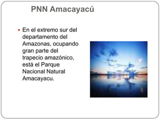       PNN AmacayacúEn el extremo sur del departamento del Amazonas, ocupando gran parte del trapecio amazónico, está el Parque Nacional Natural Amacayacu.