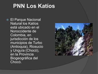      PNN Los KatíosEl Parque Nacional Natural los Katíos está ubicado en el Noroccidente de Colombia, en jurisdicción de los municipios de Turbo (Antioquia), Riosucio y Unguía (Chocó), en la Provincia Biogeográfica del Chocó.