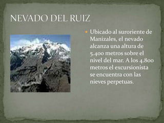 NEVADO DEL RUIZUbicado al suroriente de Manizales, el nevado alcanza una altura de 5.400 metros sobre el nivel del mar. A los 4.800 metros el excursionista se encuentra con las nieves perpetuas.