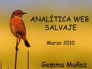 ANALÍTICA WEB  SALVAJE Marzo 2010 Gemma Muñoz 