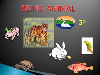 REINO ANIMAL            3° 