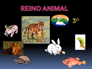 REINO ANIMAL            3° 