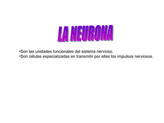 Son las unidades funcionales del sistema nervioso. Son células especializadas en transmitir por ellas los impulsos nerviosos. LA NEURONA 