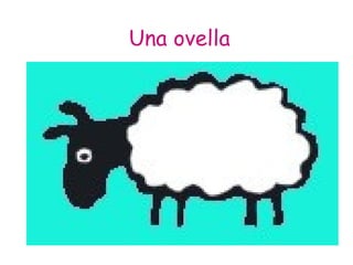Una ovella 