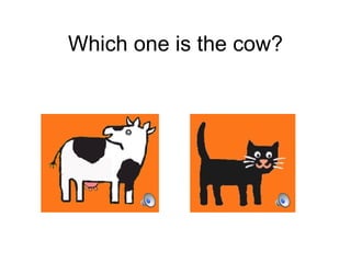 Which one is the c ow? 
