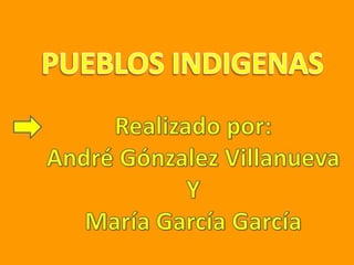 PUEBLOS INDIGENAS Realizado por: André Gónzalez Villanueva Y María García García 