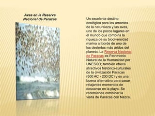 Bosque Amazónico - IquitosEl punto de partida en la selva amazónica norte del Perú, un lugar ideal para los amantes del turismo de naturaleza y biodiversidad y para quienes desean sentir el íntimo contacto con la naturaleza virgen de los bosques amazónicos. Desde Iquitos podrá navegar en el río Amazonas y sus afluentes, e iniciar expediciones a la selva, normalmente con base en lodges ubicados en plena selva, y los más audaces y aventureros pueden llegar hasta las Reservaciones y Parques Nacionales con exuberante fauna y flora,  indispensable conocer Pacaya Samiria. También podrá  tomar contacto con los aborígenes de la amazonía