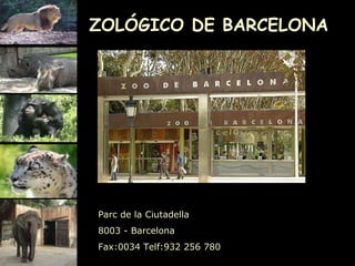 ZOLÓGICO DE BARCELONA Parc de la Ciutadella  8003 - Barcelona Fax: 0034  Telf: 932 256 780                                              