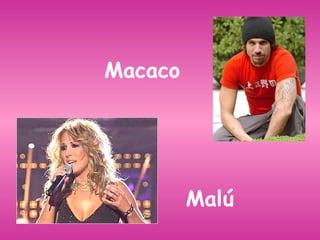 Macaco Malú 