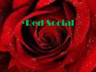 Red Social