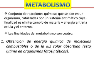 Conjunto de reacciones químicas que se dan en un organismo, catalizadas por un sistema enzimático cuya finalidad es el intercambio de materia y energía entre la célula y el entorno.  Las finalidades del metabolismo son cuatro: Obtención de energía química de moléculas combustibles o de la luz solar absorbida (esto último en organismos fotosintéticos). 