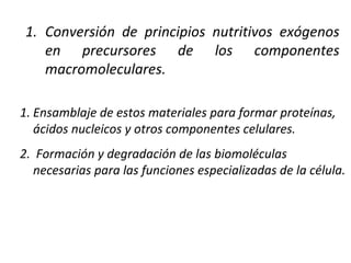 Ensamblaje de estos materiales para formar proteínas, ácidos nucleicos y otros componentes celulares. Formación y degradación de las biomoléculas necesarias para las funciones especializadas de la célula. Conversión de principios nutritivos exógenos en precursores de los componentes macromoleculares. 