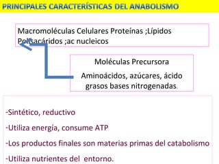 Macromoléculas Celulares Proteínas ;Lípidos Polisacáridos ;ac nucleicos Moléculas Precursora Aminoácidos, azúcares, ácido grasos bases nitrogenadas . Sintético, reductivo Utiliza energía, consume ATP Los productos finales son materias primas del catabolismo Utiliza nutrientes del  entorno. 