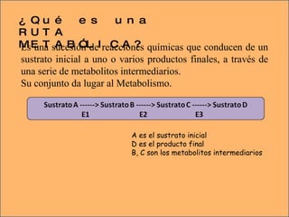 ¿Qué es una RUTA METABÓLICA? Es una sucesión de reacciones químicas que conducen de un sustrato inicial a uno o varios productos finales, a través de una serie de metabolitos intermediarios.  Su conjunto da lugar al Metabolismo. A es el sustrato inicial D es el producto final B, C son los metabolitos intermediarios 