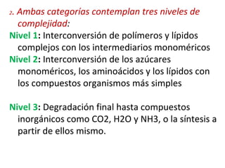 2 .   Ambas categorías contemplan tres niveles de complejidad : Nivel 1 :  Interconversión de polímeros y lípidos complejos con los intermediarios monoméricos Nivel 2 :  Interconversión de los azúcares monoméricos, los aminoácidos y los lípidos con los compuestos organismos más simples Nivel 3 :  Degradación final hasta compuestos inorgánicos como CO2, H2O y NH3, o la síntesis a partir de ellos mismo. 