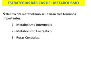 Dentro del metabolismo se utilizan tres términos importantes: 1.- Metabolismo Intermedio 2.- Metabolismo Energético 3.- Rutas Centrales. 