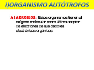 Aerobios:  Estos organismos tienen al oxígeno molecular como último aceptor de electrones de sus dadores electrónicos orgánicos  