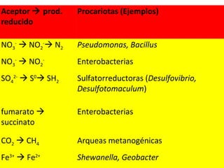 Aceptor    prod. reducido Procariotas (Ejemplos) NO 3 -     NO 2 -   N 2 Pseudomonas, Bacillus NO 3 -     NO 2 - Enterobacterias SO 4 2-     S 0   SH 2 Sulfatorreductoras ( Desulfovibrio, Desulfotomaculum ) fumarato    succinato Enterobacterias CO 2     CH 4 Arqueas metanogénicas Fe 3+     Fe 2+ Shewanella, Geobacter 