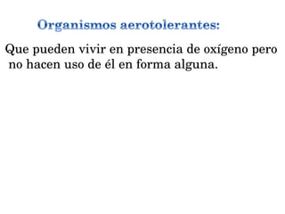 Que pueden vivir en presencia de oxígeno pero no hacen uso de él en forma alguna. 