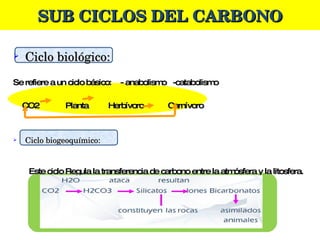SUB CICLOS DEL CARBONO Ciclo biológico:  Se refiere a un ciclo básico:  - anabolismo  -catabolismo CO2  Planta  Herbívoro  Carnívoro Ciclo biogeoquímico:  Este ciclo Regula la transferencia de carbono entre la atmósfera y la litosfera.   