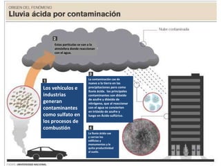 Los vehículos e industrias  generan contaminantes  como sulfato en  los procesos de  combustión La lluvia ácida cae y corroe los  edificios y monumentos y le quita productividad al suelo. La contaminación cae de nuevo a la tierra en las precipitaciones pero como lluvia ácida.  los principales contaminantes son dióxido de azufre y dióxido de nitrógeno, que al reaccionar con el agua se convierten en trióxido de azufre y  luego en Ácido sulfúrico. Estas partículas se van a la atmósfera donde reaccionan con el agua. 
