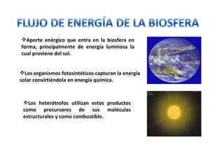 Aporte enérgico que entra en la biosfera en forma, principalmente de energía luminosa la cual proviene del sol. Los organismos fotosintéticos capturan la energía solar convirtiéndola en energía química. Los heterótrofos utilizan estos productos como precursores de sus moléculas estructurales y como combustible. 