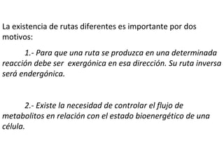 La existencia de rutas diferentes es importante por dos motivos: 1.- Para que una ruta se produzca en una determinada reacción debe ser  exergónica en esa dirección. Su ruta inversa será endergónica. 2.- Existe la necesidad de controlar el flujo de metabolitos en relación con el estado bioenergético de una célula. 
